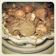 Lampascioni dal mercato