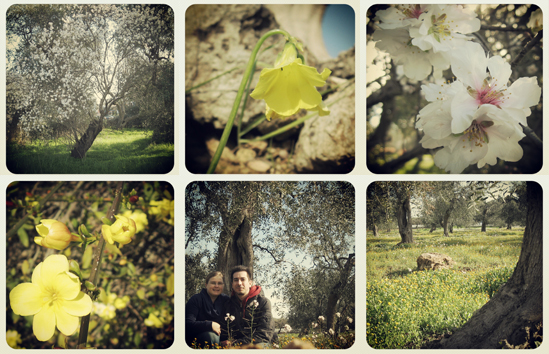 Primavera a Triggiano