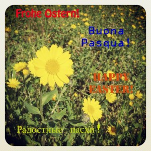 buonapasqua