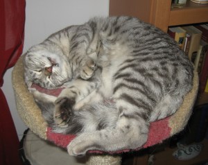 sich mal rund machen statt immer nur lang