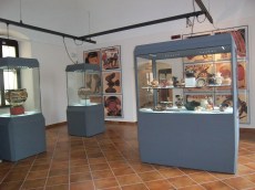 Pentax Digital Camera