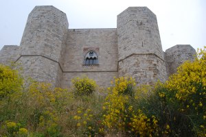 Hinter blühenden Ginsterbüschen erhebt sich das Castel del monte in den Frühlingshimmel Apuliens.