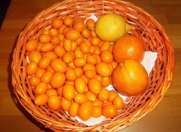 Abgeflückte reife Kumquat-Früchte in einem kleinen Körbchen.