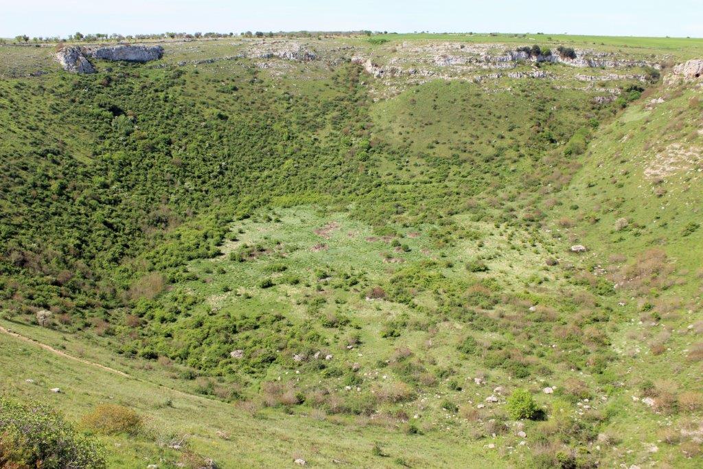 Blick auf den Krater des Pulo di Altamura in Apulien im Frühling, mit grüner Vegetation und felsigen Abgründen.“
