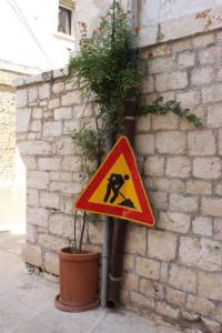 Turi Bauarbeiten im Blumenkübel