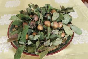 Wintermispeln auf dem Küchentisch