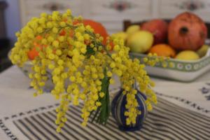 Rosas Mimose auf dem Esstisch