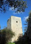 torre-di-castiglione-3