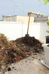 herumwuelen-im-kompost