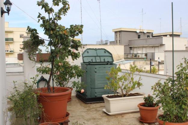 Ein geöffneter Komposthaufen steht in einer Terrassenecke. Links davor ein Aprikosenbaum in einem großen Blumentopf.