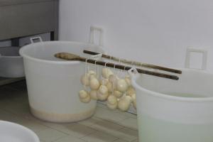 scamorza-zum-trocknen