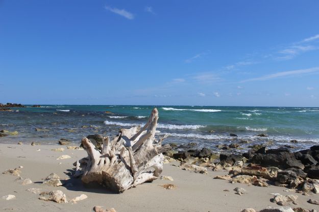 Auf dem hellen Sandstrand des Naturschutzgebietes von Torre Guaceto in Apulien liegen Sandsteine verstreut und eine weißgewaschene Baumwurzel bildet das zentrale Motiv des Fotos, während im Jintergrund das bewegte blaugrüne Meer zu sehen ist.