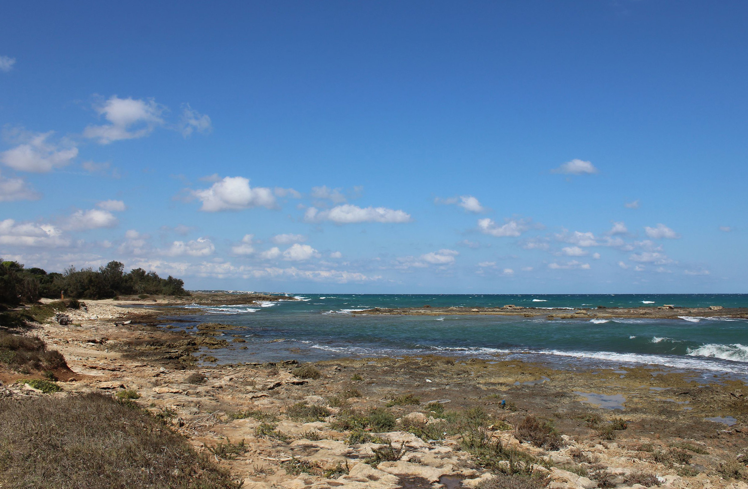 Ein felsiger, bewachsener Strandabschnitt mit flachem grünblauen Wasser und zerklüfteter Küste im Naturschutzgebiet von Torre Guaceto in Apulien.