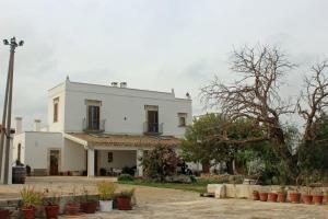 Hinter unbelabten Bäumen erhebt sich das weiß getünchte Haupthaus der Masseria Tenuta Ptrunio Perniola in der Nähe von Gioia del Colle.