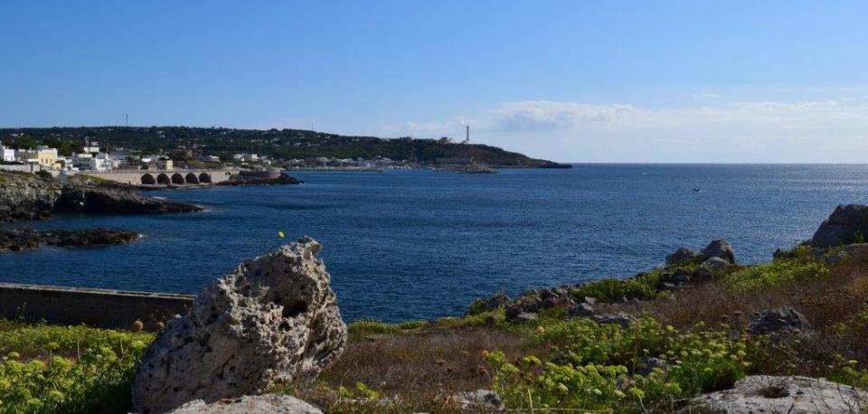 Eine Meeresbucht von Santa Maria di Leuca in Apulien mit sattblauem Meer und blühenden Kräutern am Felsenstrand.
