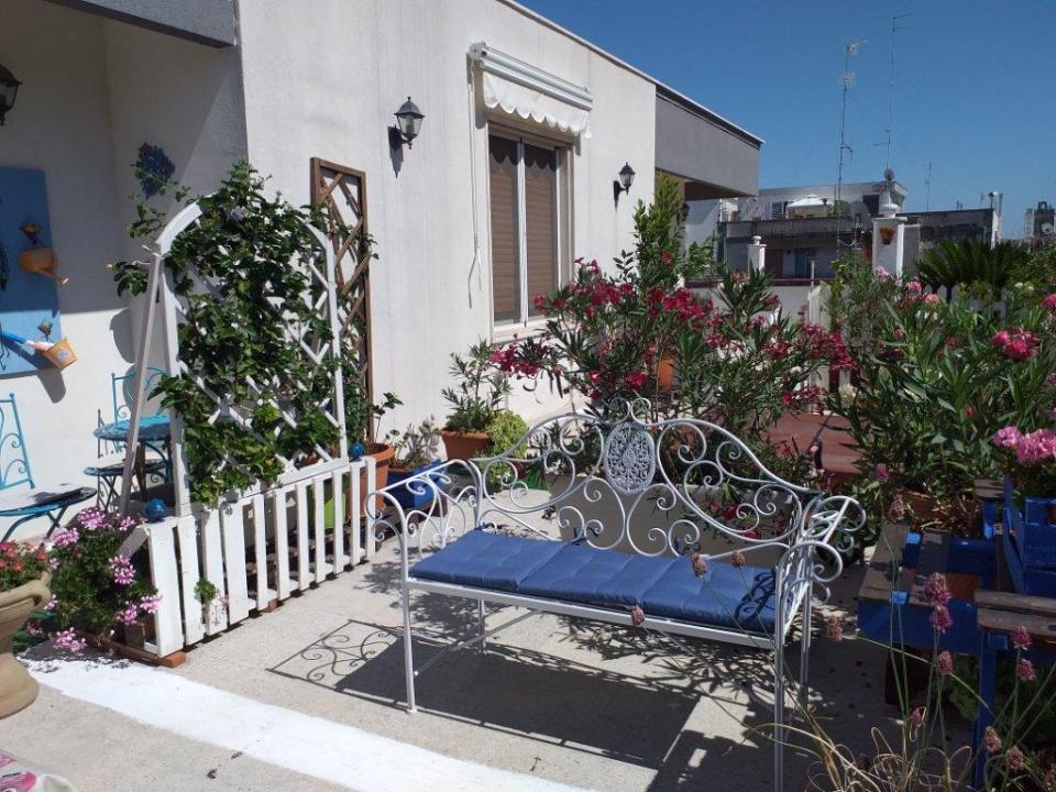 Auf einer Terrasse im Sommer mit weißen Spalieren und einer weißen Metallbank stehen blühende Oleander und Geranien.
