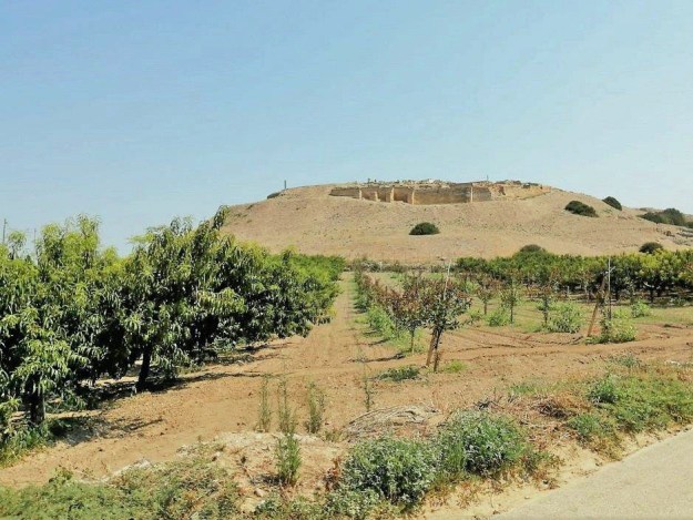 Hinter einem Hain mit Obstbäumen erhebt sich auf einem Plateu die Stadtmauer und die Ruinen der mittelalterlichen  Stadt Canae in den hellblauen Sommerhimmel.