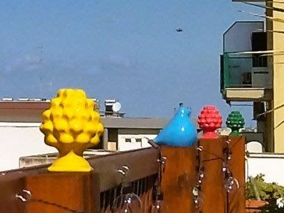 Pini siciliani sul recinto del terrazzo