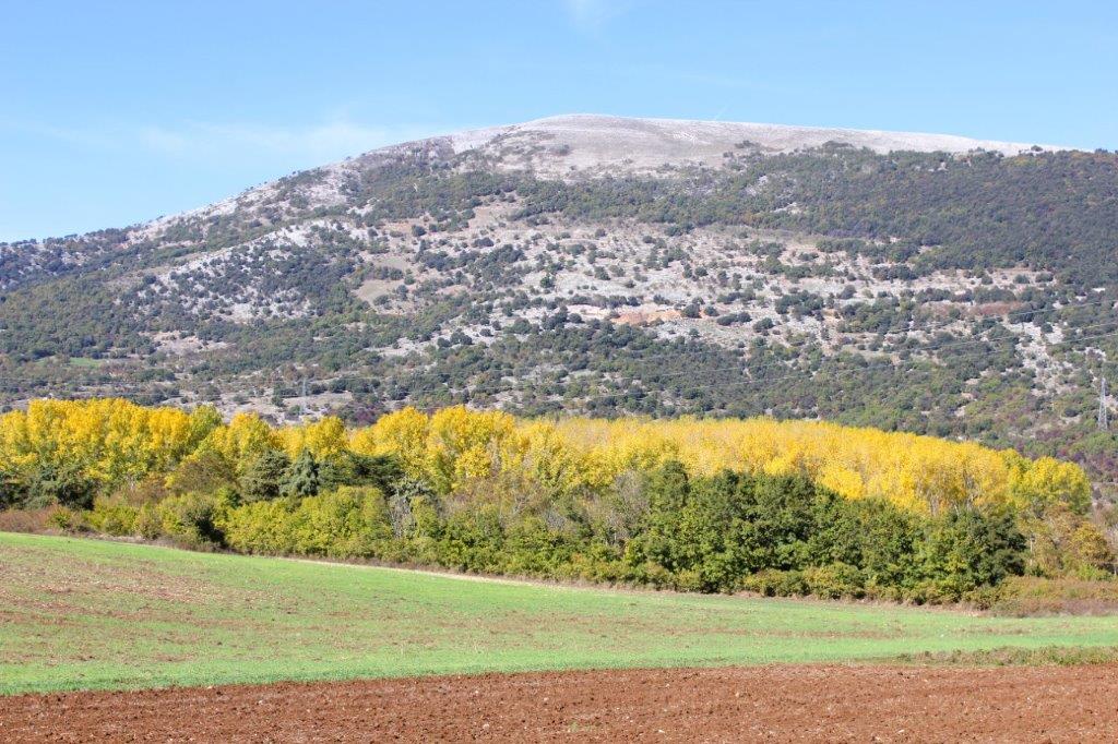 colori del autunno Gargano