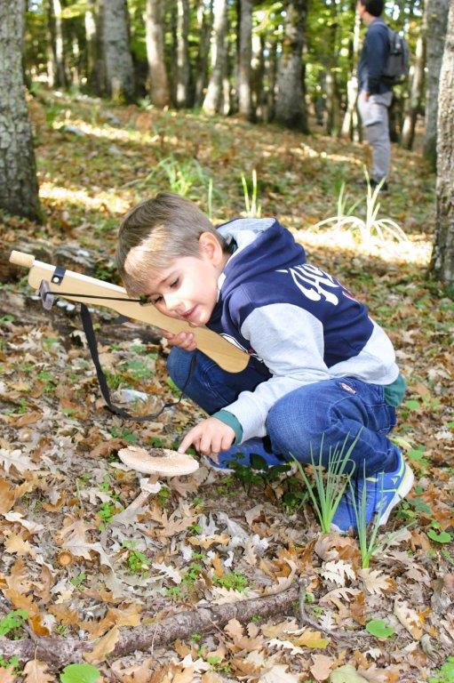 Foresta Umbra, fungo ombrellone