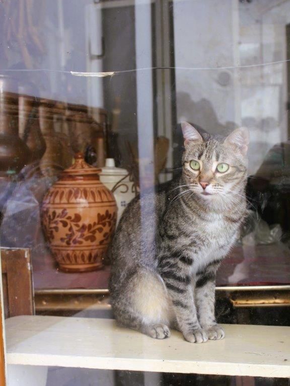 Monte Sant'Angelo Gatto nel Antiquariato