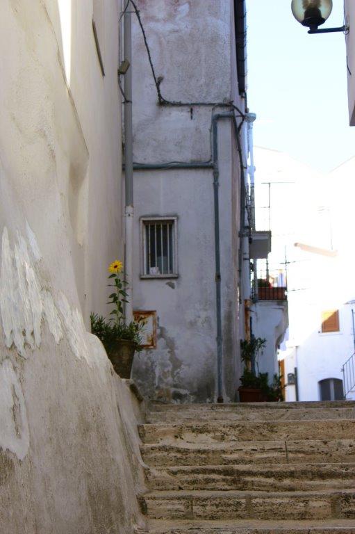 Monte Sant'Angelo Vicolo con Girasole