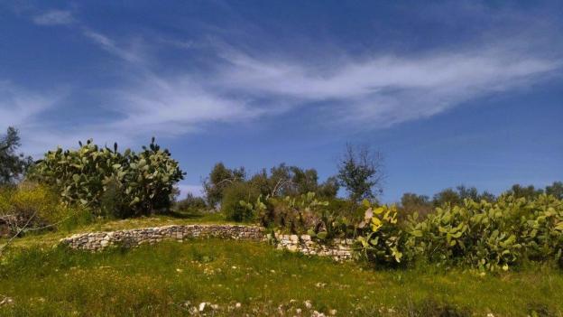 Lama San Giorgio Triggiano