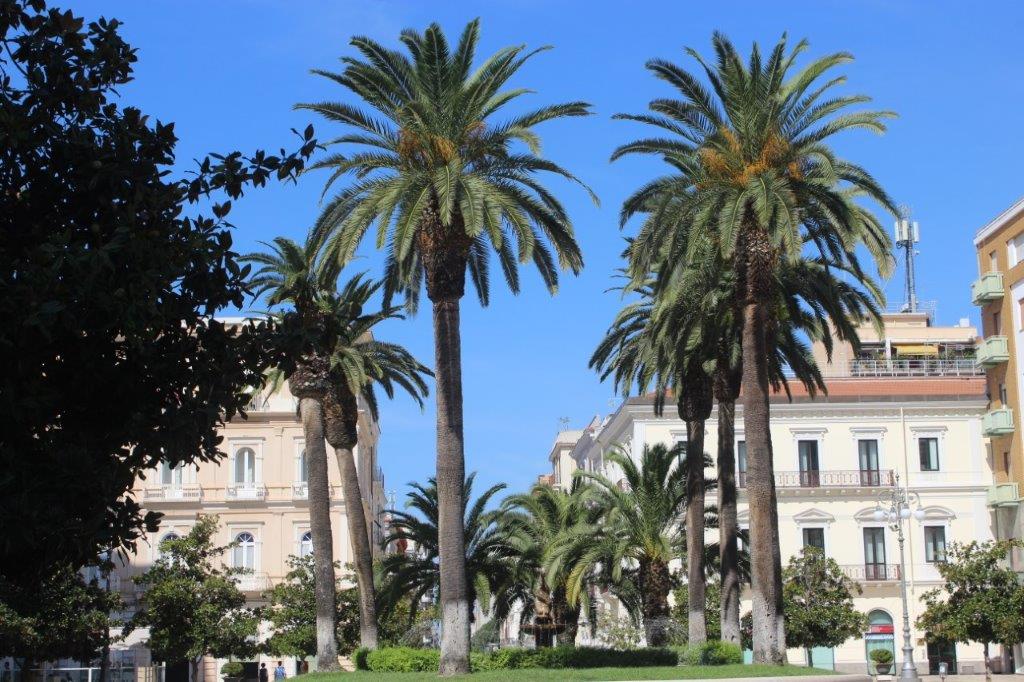 Piazza nella Città Nuova