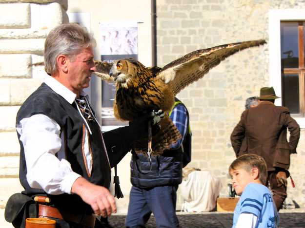 Kind weicht vor der Eule eines Falkners zurück, die mit den Flügeln schlägt