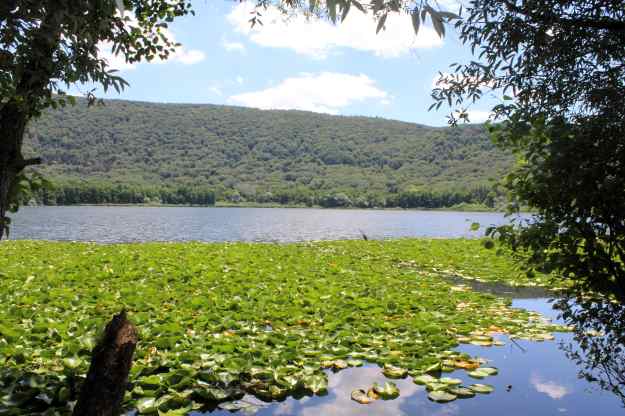 Kleiner Monticchio-See mit Seerosen in der Basilikata in Süditalien, im Juli