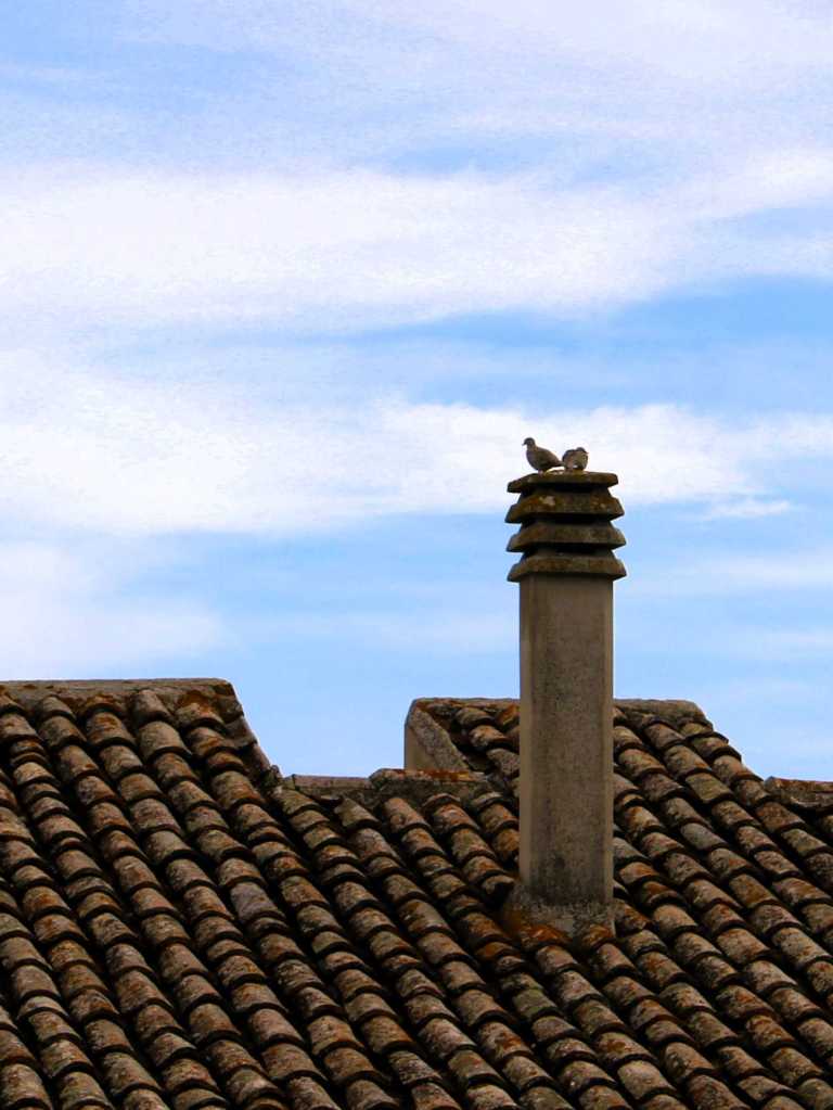 Zwei Tauben sitzen auf einem typiscen Schornstein eines mit Ziegeln gedeckten Hausdaches in Policoro, Basilikata.