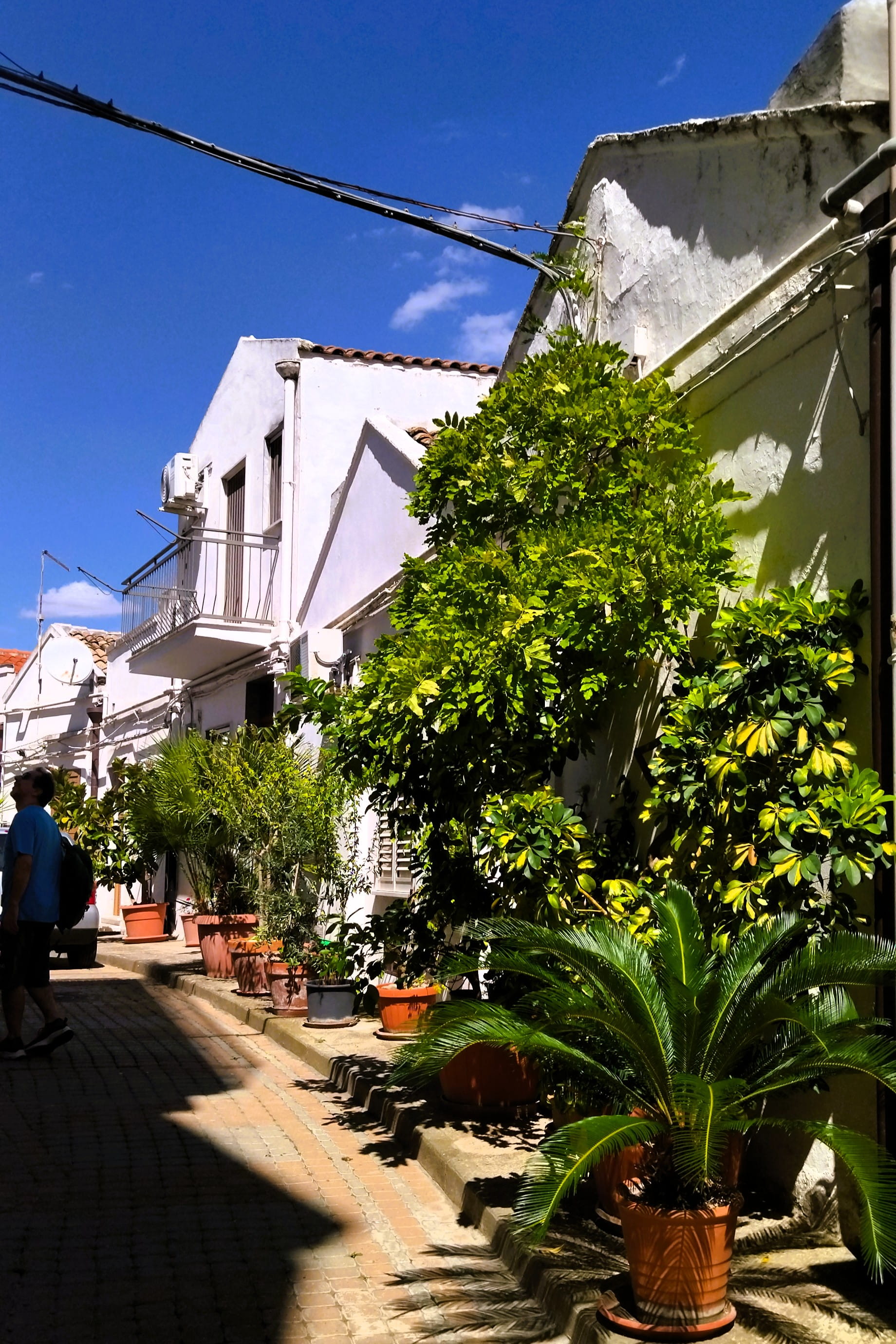 Der Fußweg einer Häuserzeile im Viertel Diruppo in Pisticci in der Basilikata wird von satt grünen Pflanzen gesäumt. Davor sieht man eine schmale Pflasterstraße un über allem wölbt sich ein blauer Sommerhimmel mit Schäfchenwolken.