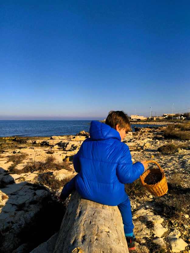 Ein Junge in Winterjacke sammelt Strandgut in einem kleinen Körbchen an einem Steinstrand vor dem blauen Meer in der Nähe von Bari in Apulien.