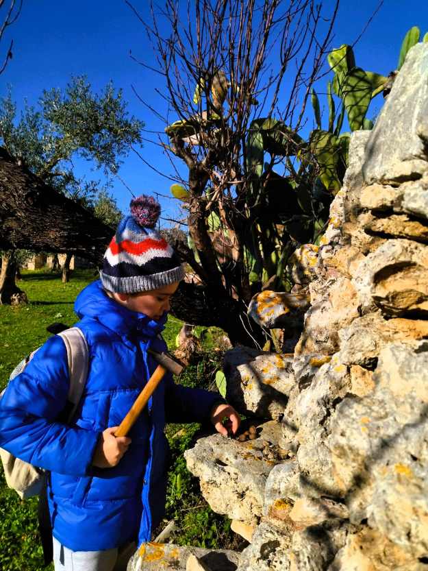 Ein Kind in Winterkleidung knackt mit einem Hammer Mandeln auf einer Struktur aus Feldsteinen.