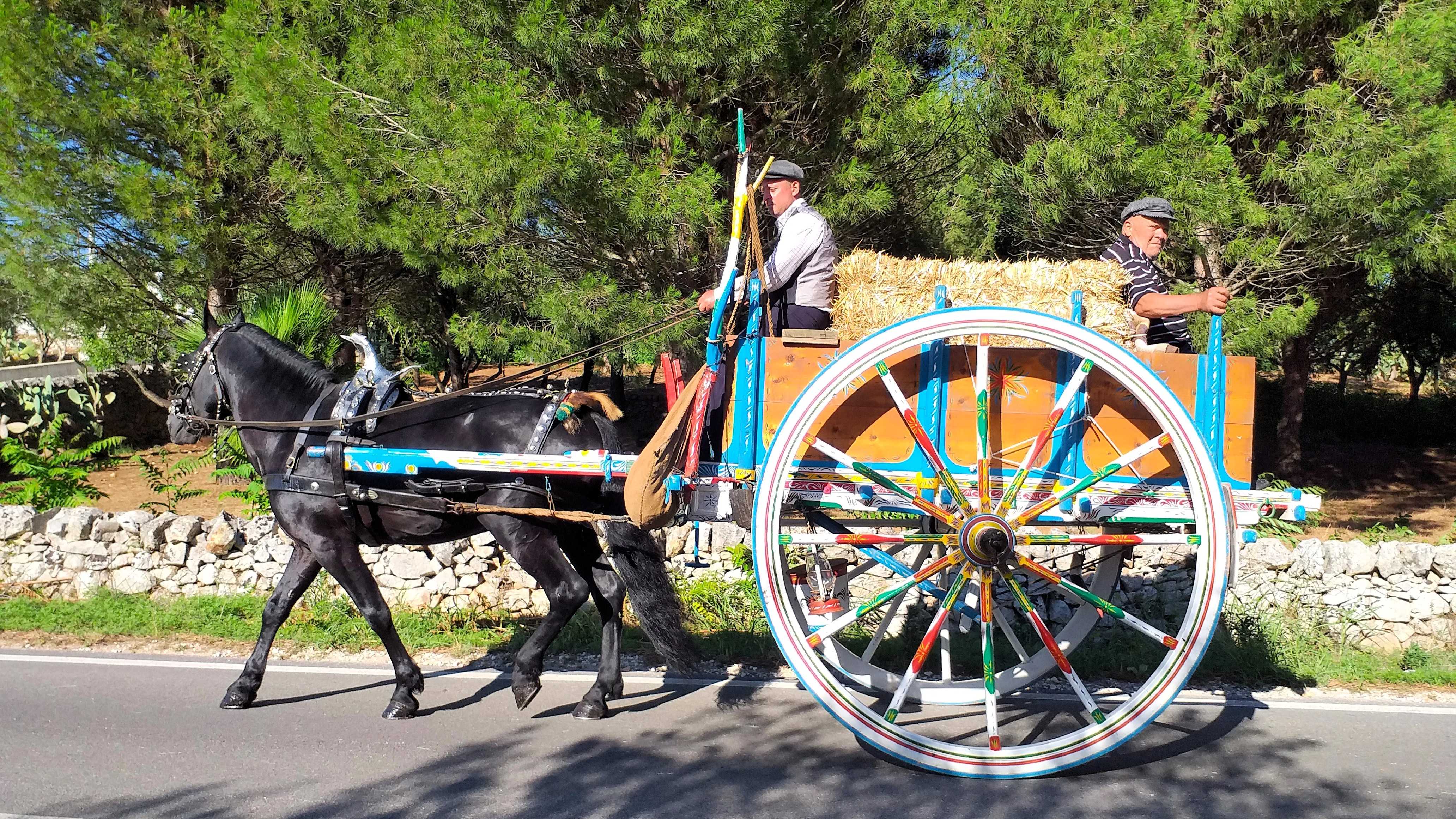 Auf einem bunte bemalten Pferdewagen fahren zwei ältere Männer Stroh in der Nähe von Ostuni, Apulien.
