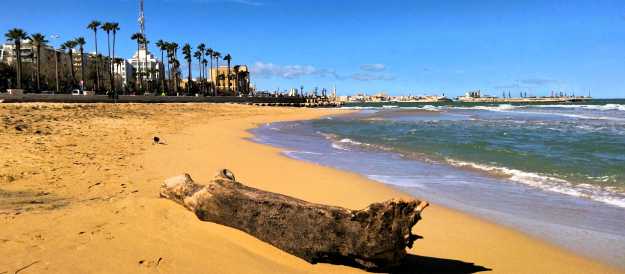 Baumstamm als Treibgut am Stadtstrand Pane e Pomodoro in Bari, Apulien, im Hintergrund die Seepromenade und der Altstadtbogen, rechts das Meer.