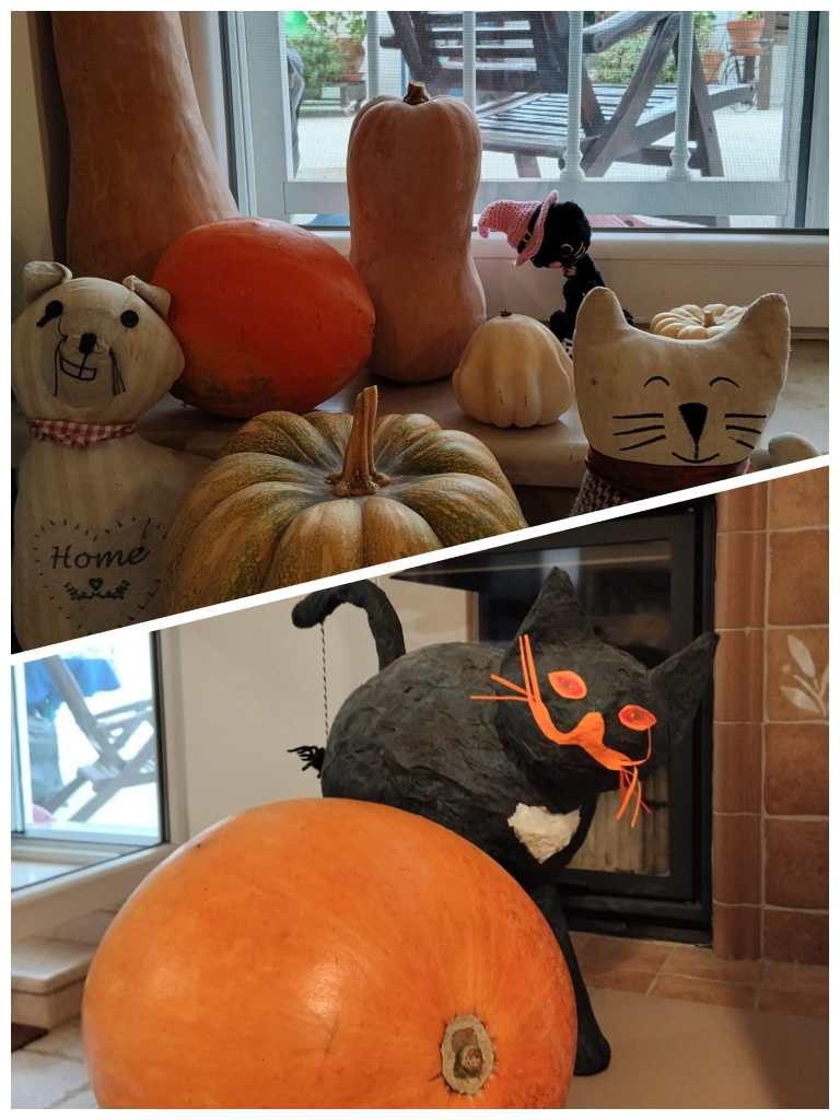Verschiedene Kürbisarten dekorieren eine Wohnung in Apulien herbstlich.